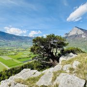 Blick vom Heidenkopf Richtung Sargans
