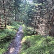 Trailabschnitt nach dem bösen Tritt