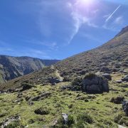 Inneralp