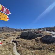 Der Route 81 nach