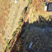 Üerlichergale Singletrail nördlich