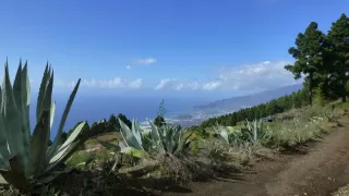 Themenbild Mendotrail, La Palma (Kanaren)